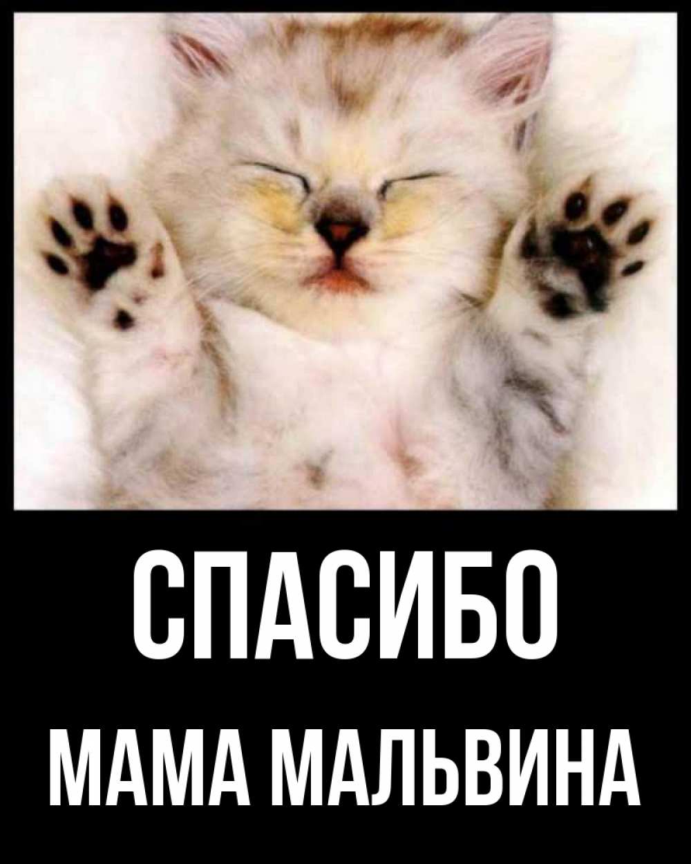 Открытка на каждый день с именем, Мама-Мальвина Спасибо маленький котенок Прикольная открытка с пожеланием онлайн скачать бесплатно 