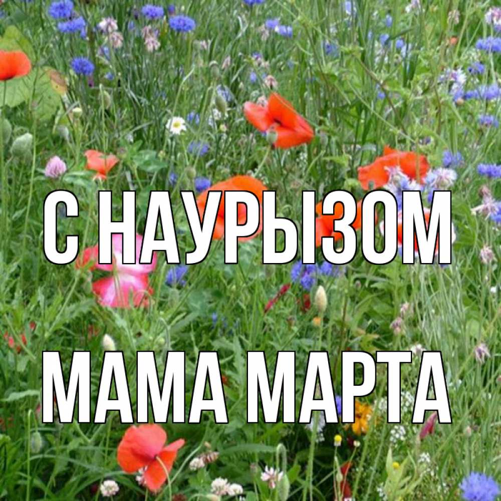 Открытка на каждый день с именем, Мама-Марта С наурызом праздник весны наурыз супер открытка Прикольная открытка с пожеланием онлайн скачать бесплатно 