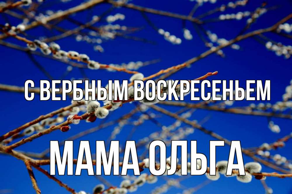 Открытка на каждый день с именем, Мама-Ольга С вербным воскресеньем верба Прикольная открытка с пожеланием онлайн скачать бесплатно 