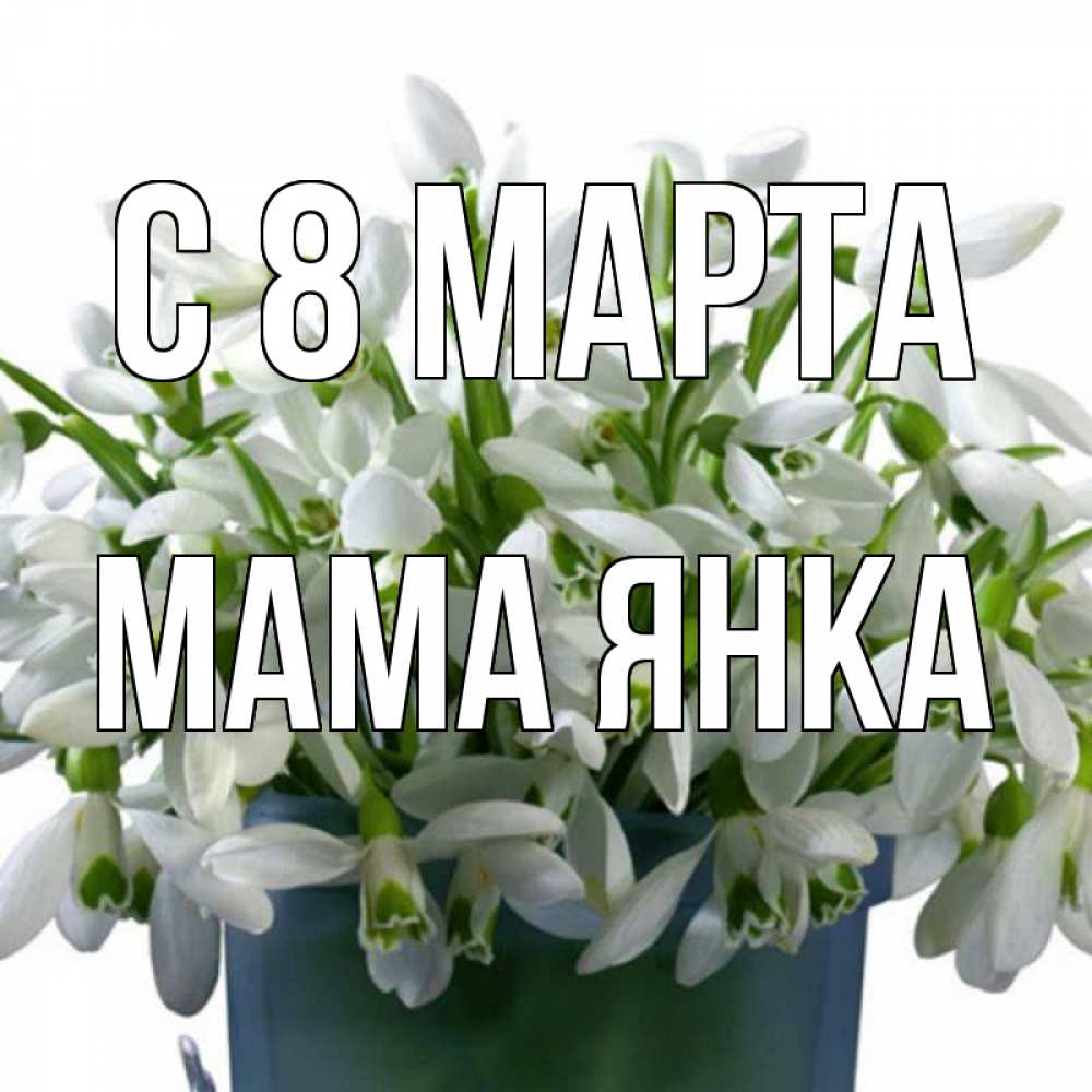Открытка на каждый день с именем, Мама-Янка С 8 марта цветы к международному женскому дню Прикольная открытка с пожеланием онлайн скачать бесплатно 