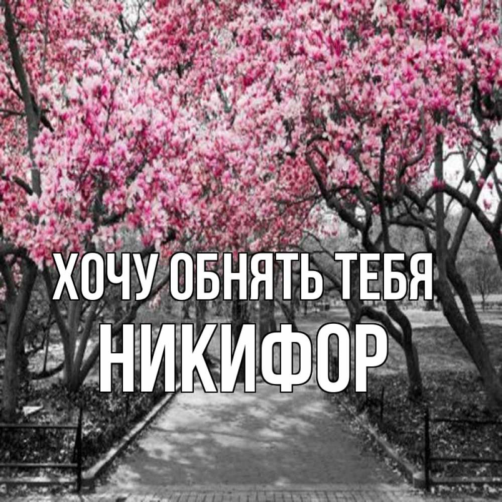 Открытка на каждый день с именем, Никифор Хочу обнять тебя обработанное фото Прикольная открытка с пожеланием онлайн скачать бесплатно 