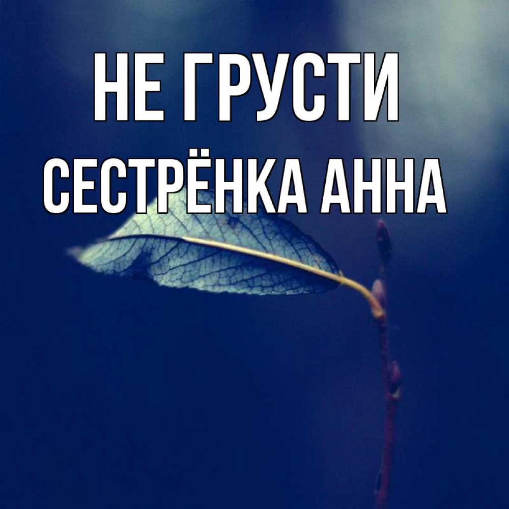 Открытка на каждый день с именем, Сестрёнка-Анна Не грусти растение Прикольная открытка с пожеланием онлайн скачать бесплатно 