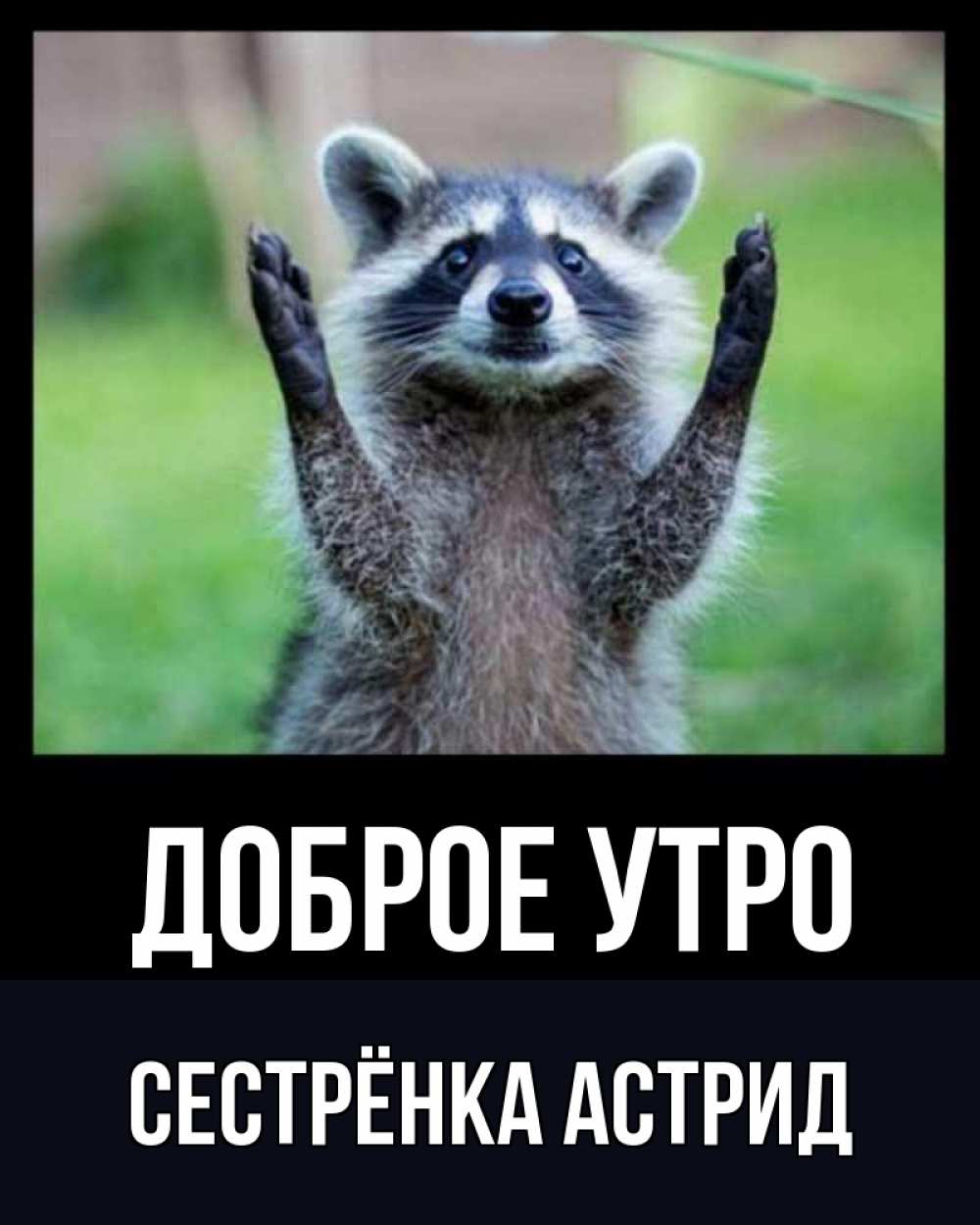Открытка на каждый день с именем, Сестрёнка-Астрид Доброе утро хорошее настроение утречком Прикольная открытка с пожеланием онлайн скачать бесплатно 