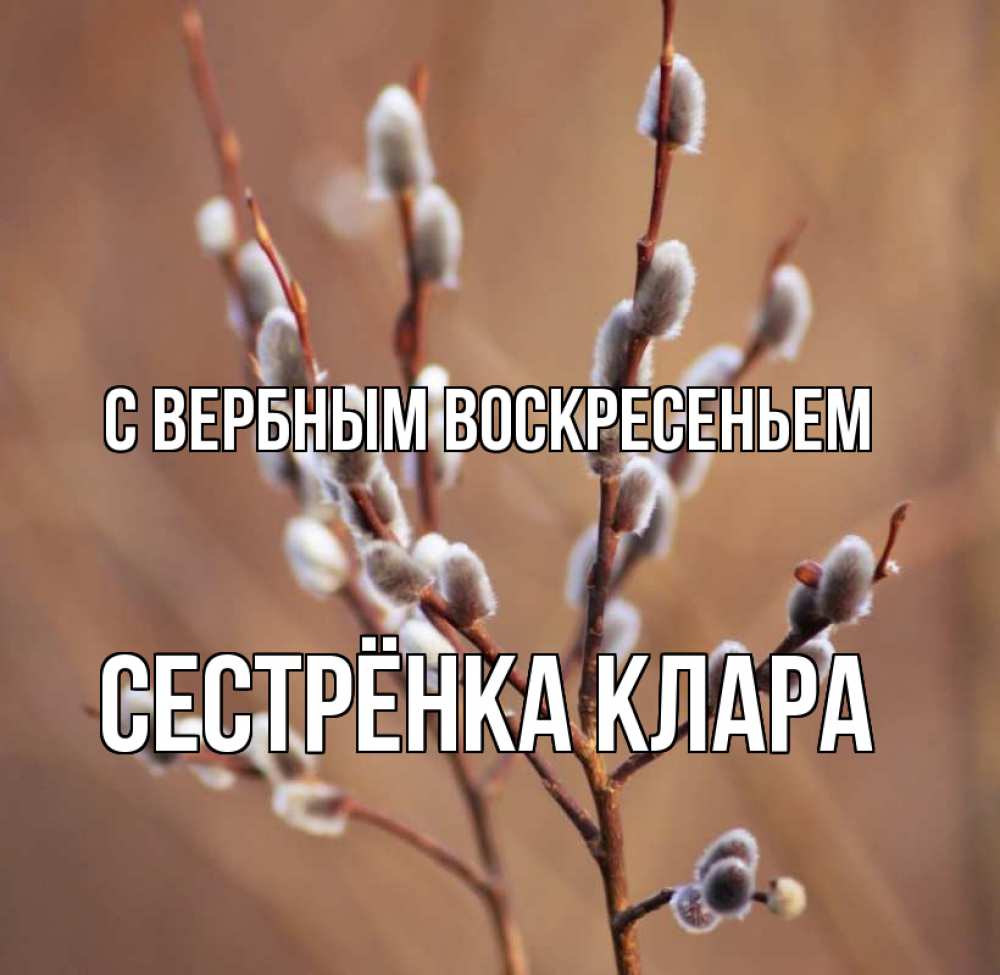 Открытка на каждый день с именем, Сестрёнка-Клара С вербным воскресеньем верба Прикольная открытка с пожеланием онлайн скачать бесплатно 