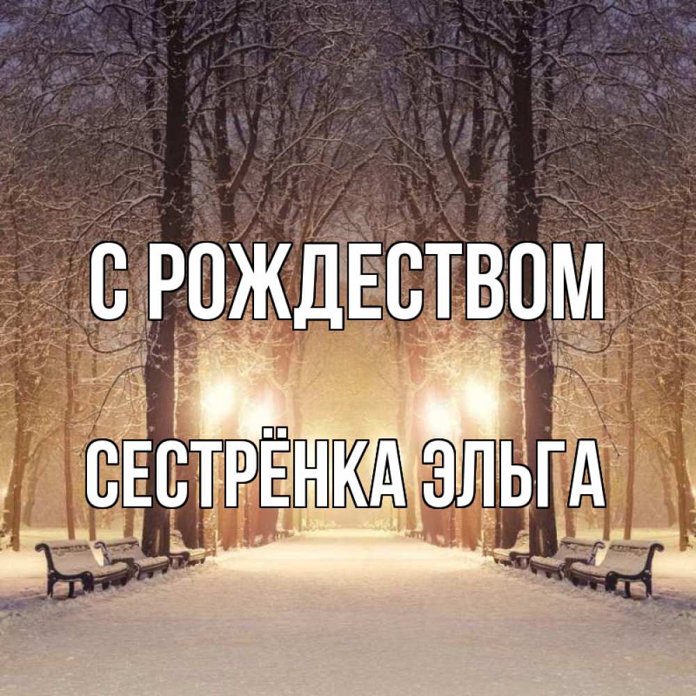 Открытка на каждый день с именем, Сестрёнка-Эльга С рождеством зима, парк, фонарь, лес Прикольная открытка с пожеланием онлайн скачать бесплатно 