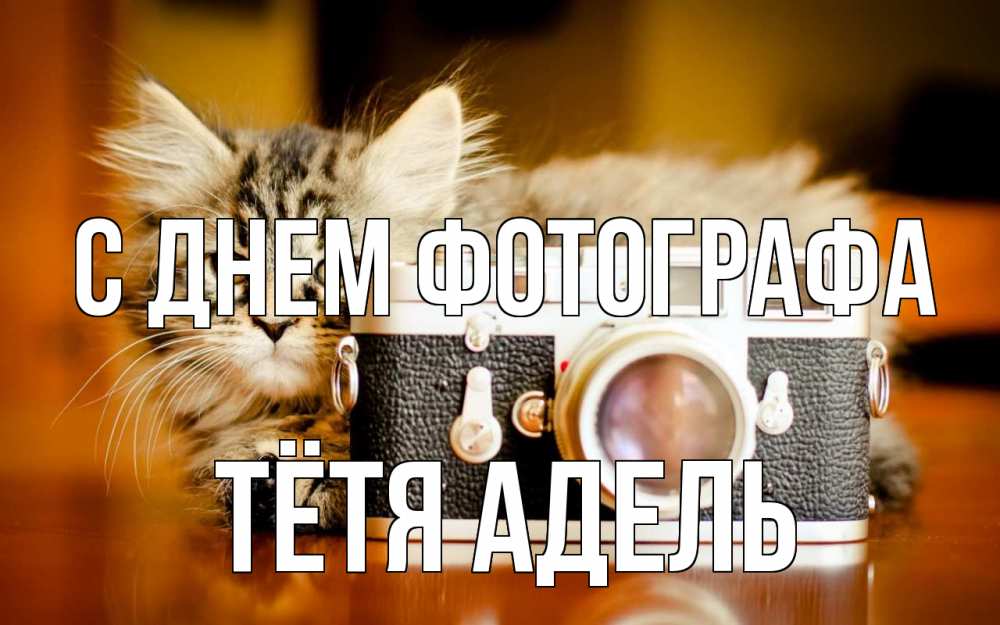 Открытка на каждый день с именем, Тётя-Адель С днем фотографа с днем фотографа Прикольная открытка с пожеланием онлайн скачать бесплатно 