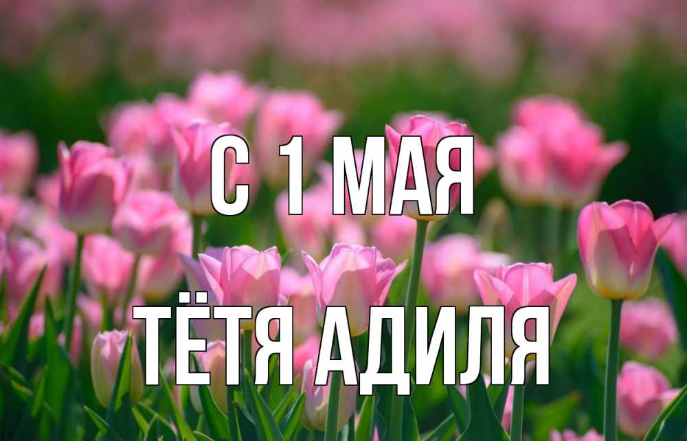 Открытка на каждый день с именем, Тётя-Адиля С 1 мая С 1 мая Прикольная открытка с пожеланием онлайн скачать бесплатно 