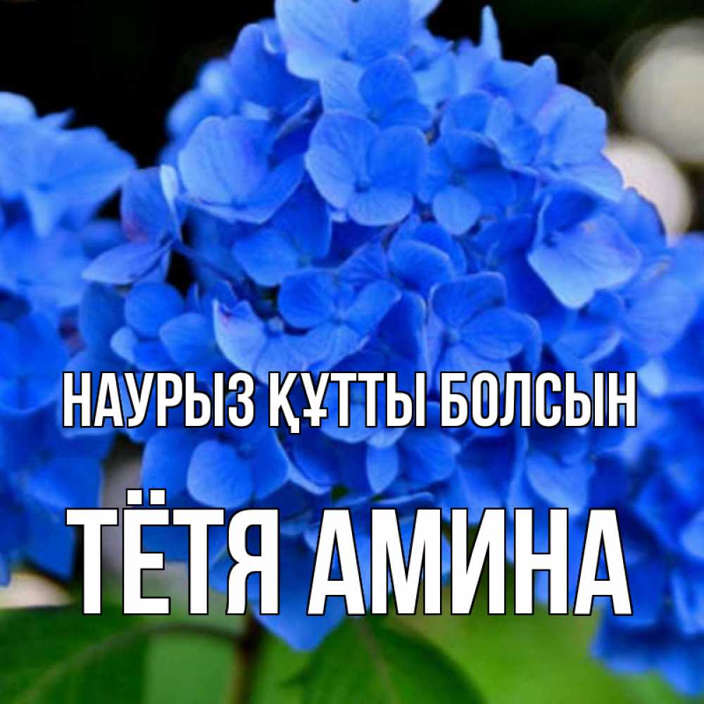Открытка на каждый день с именем, Тётя-Амина Наурыз құтты болсын синие цветы Прикольная открытка с пожеланием онлайн скачать бесплатно 