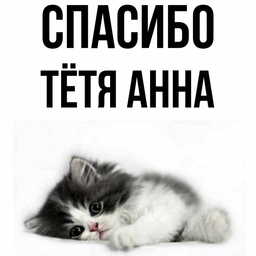 Открытка на каждый день с именем, Тётя-Анна Спасибо черный и белый кот Прикольная открытка с пожеланием онлайн скачать бесплатно 