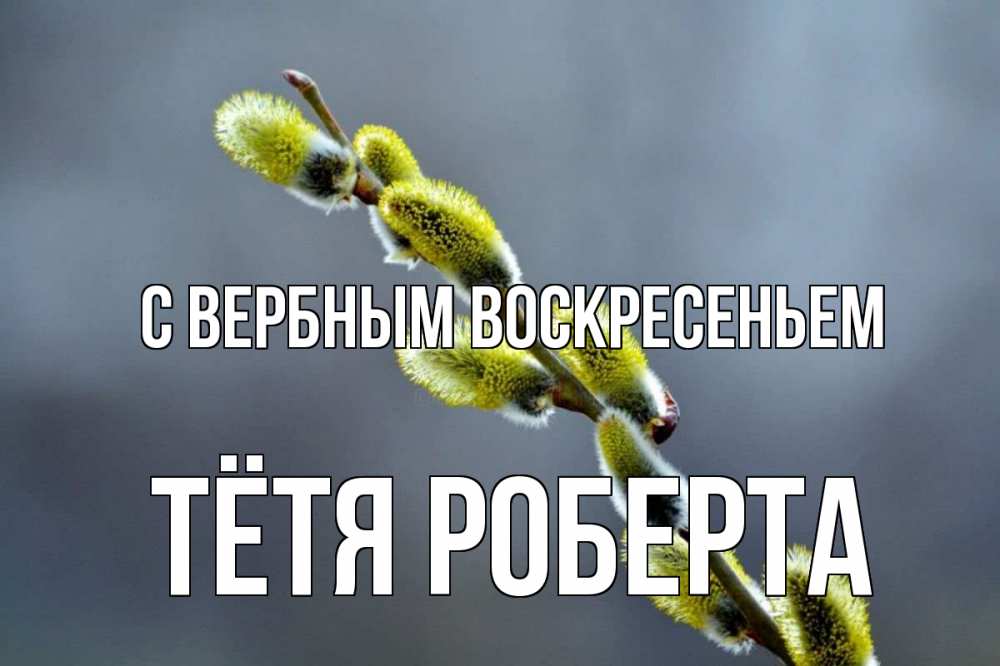 Открытка на каждый день с именем, Тётя-Роберта С вербным воскресеньем верба Прикольная открытка с пожеланием онлайн скачать бесплатно 