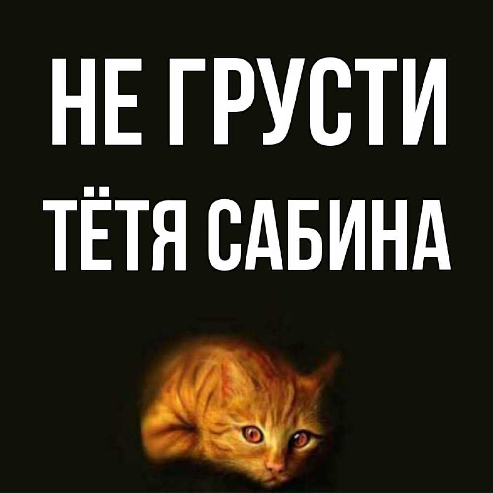 Открытка на каждый день с именем, Тётя-Сабина Не грусти лежащий кот в темноте Прикольная открытка с пожеланием онлайн скачать бесплатно 