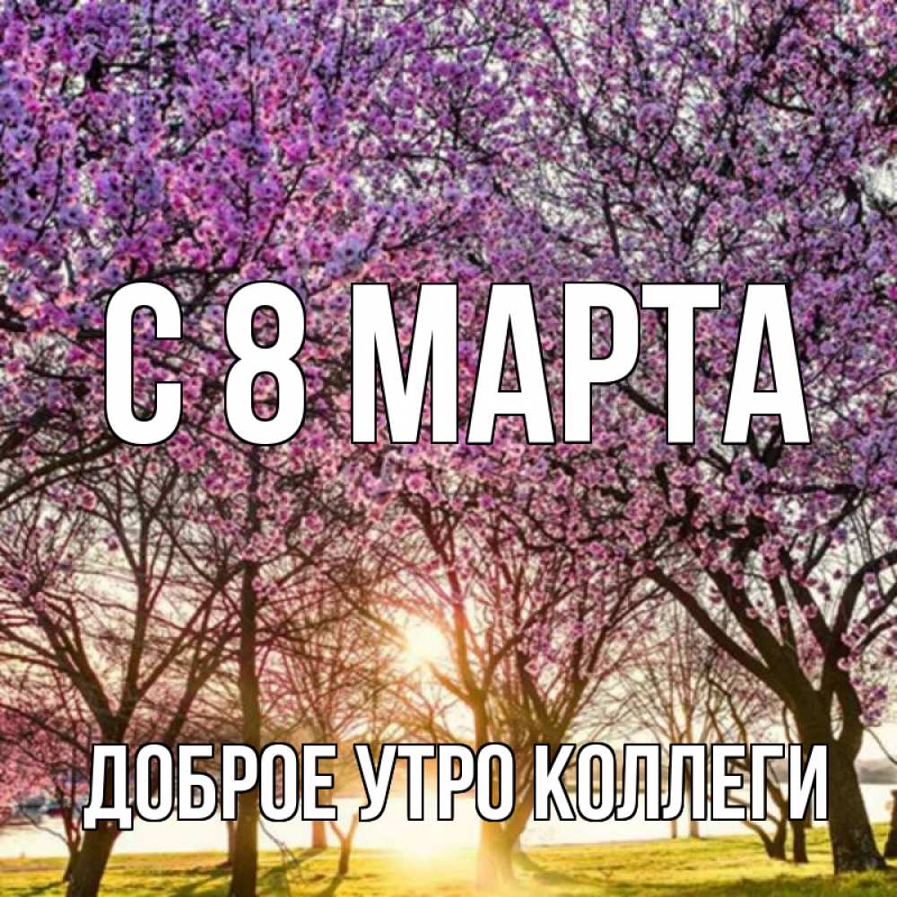 Открытка на каждый день с именем, Доброе-утро-Коллеги С 8 марта международный женский день Прикольная открытка с пожеланием онлайн скачать бесплатно 