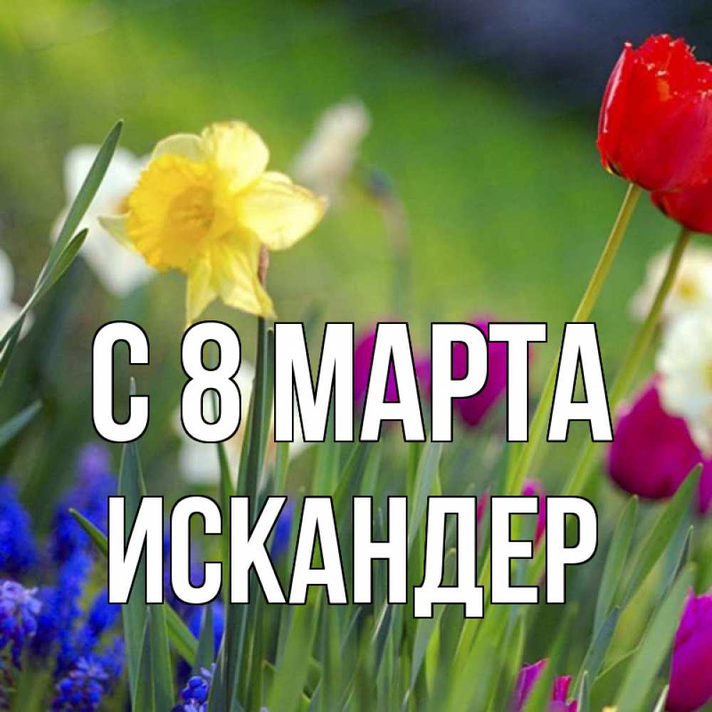 Открытка на каждый день с именем, Искандер С 8 МАРТА международный женский день 3 Прикольная открытка с пожеланием онлайн скачать бесплатно 