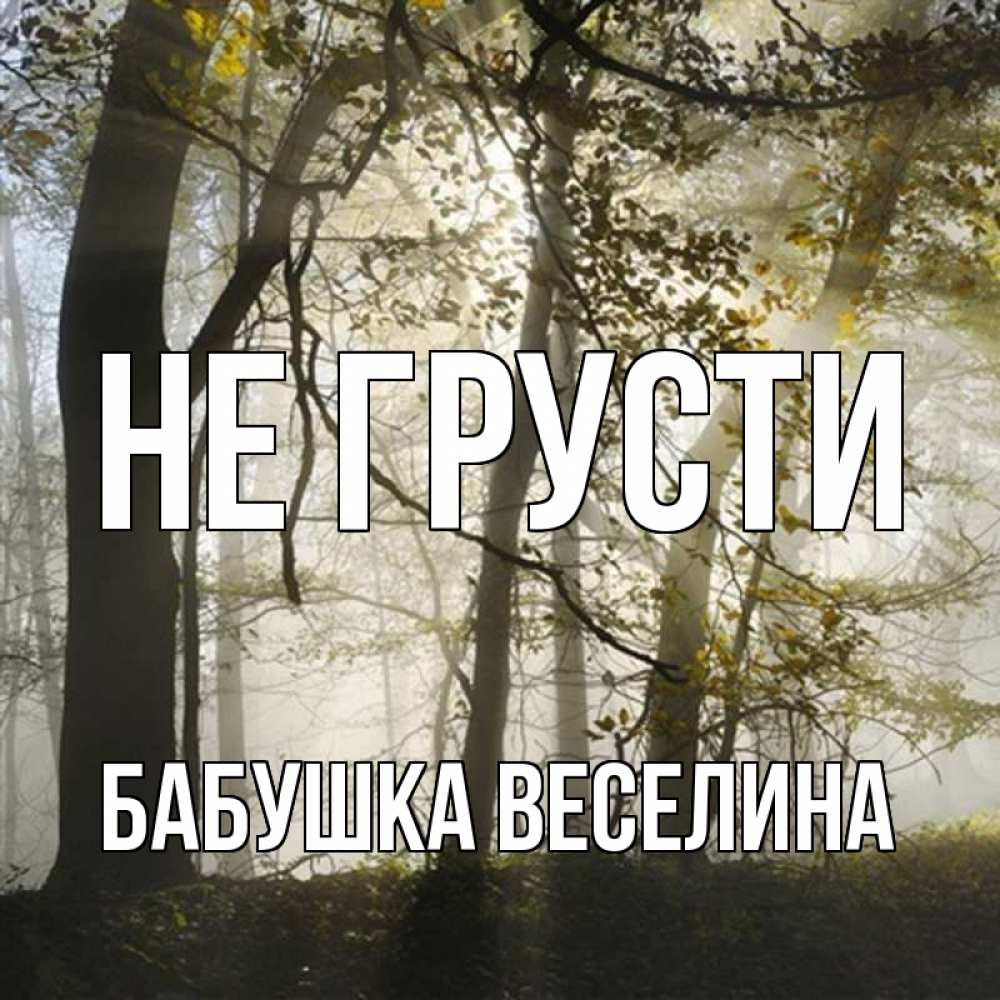 Открытка на каждый день с именем, Бабушка-Веселина Не грусти лес и свет Прикольная открытка с пожеланием онлайн скачать бесплатно 