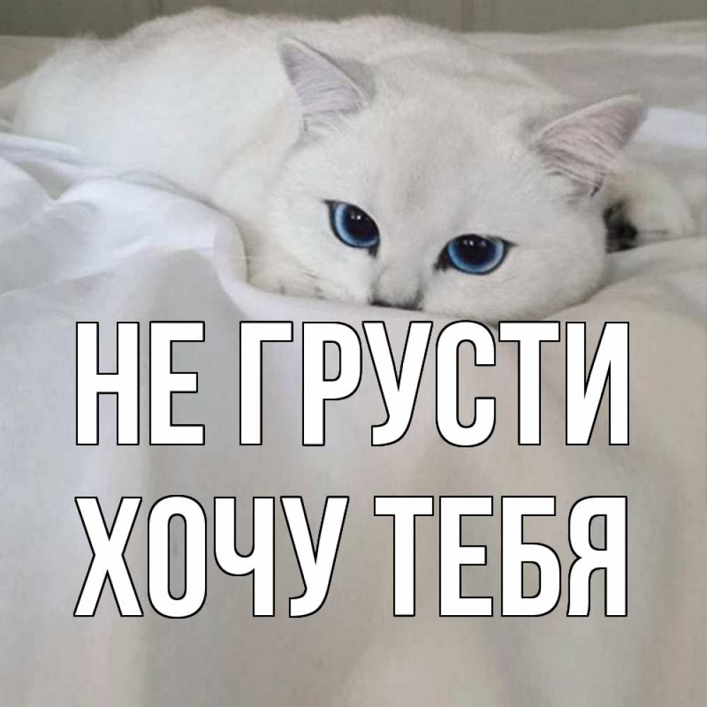 Картинка Не грусти, Хочу тебя