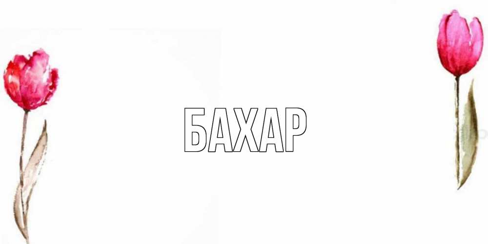 Открытка на каждый день с именем, Бахар Главная Открытки на день всех влюбленных с тюльпанами акварелью Прикольная открытка с пожеланием онлайн скачать бесплатно 