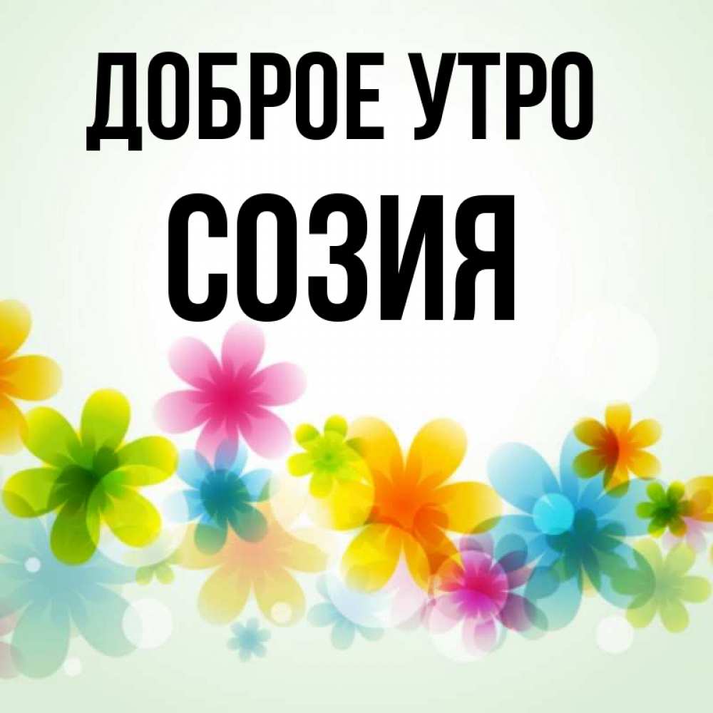 Открытка на каждый день с именем, Созия Доброе утро позитивные цветочки Прикольная открытка с пожеланием онлайн скачать бесплатно 