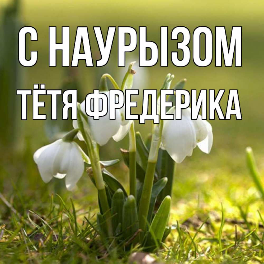 Открытка на каждый день с именем, Тётя-Фредерика С наурызом ранние цветы 2 Прикольная открытка с пожеланием онлайн скачать бесплатно 