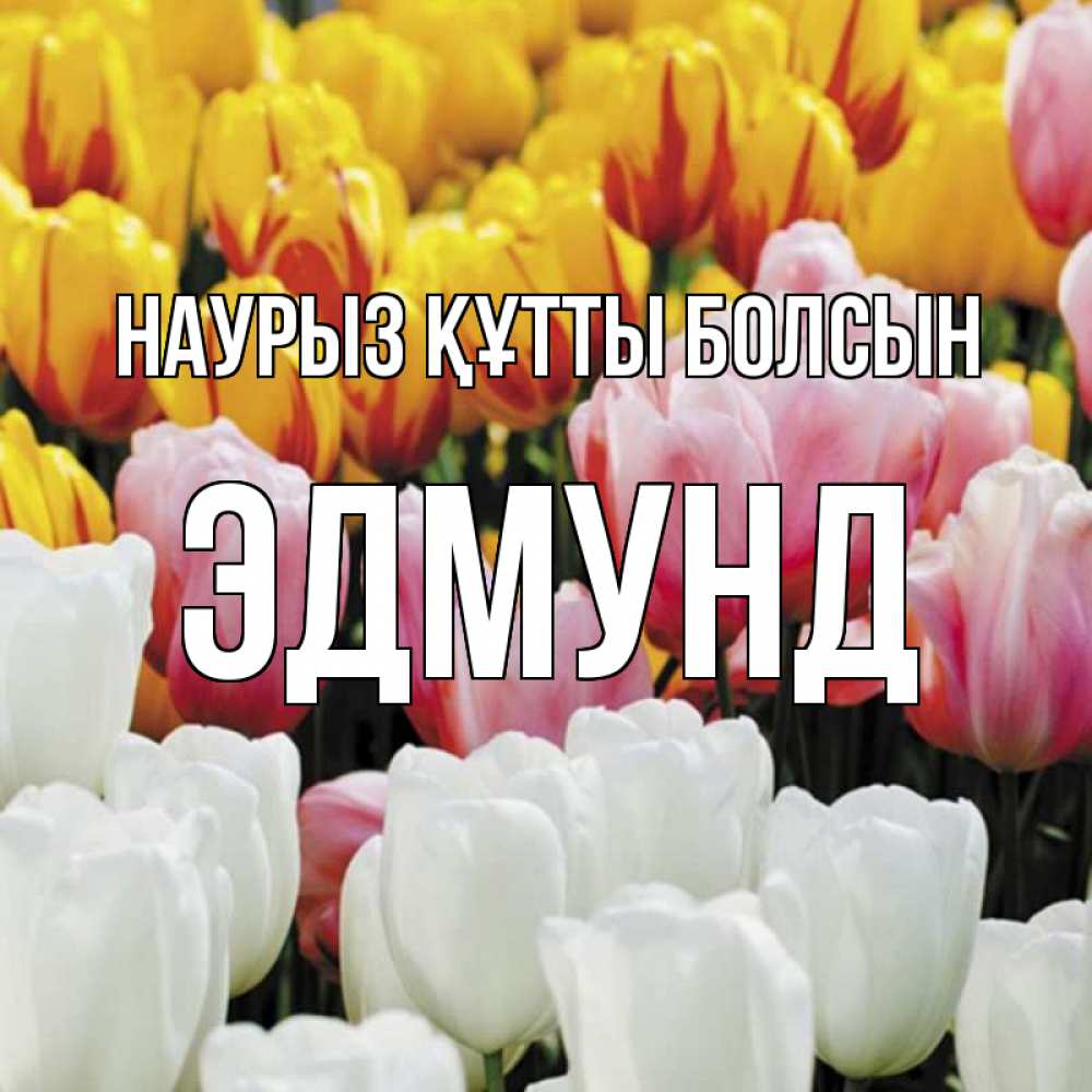 Открытка на каждый день с именем, Эдмунд Наурыз құтты болсын разноцветные цветы Прикольная открытка с пожеланием онлайн скачать бесплатно 
