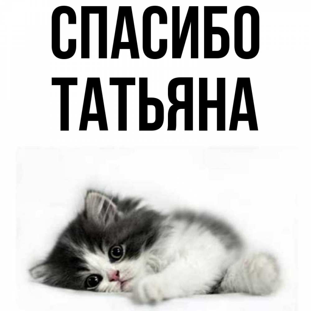 Поздравления, спасибо танюша картинки с надписями
