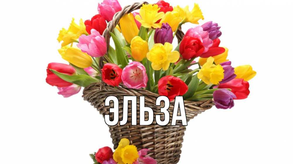Картинка  с именем , Эльза