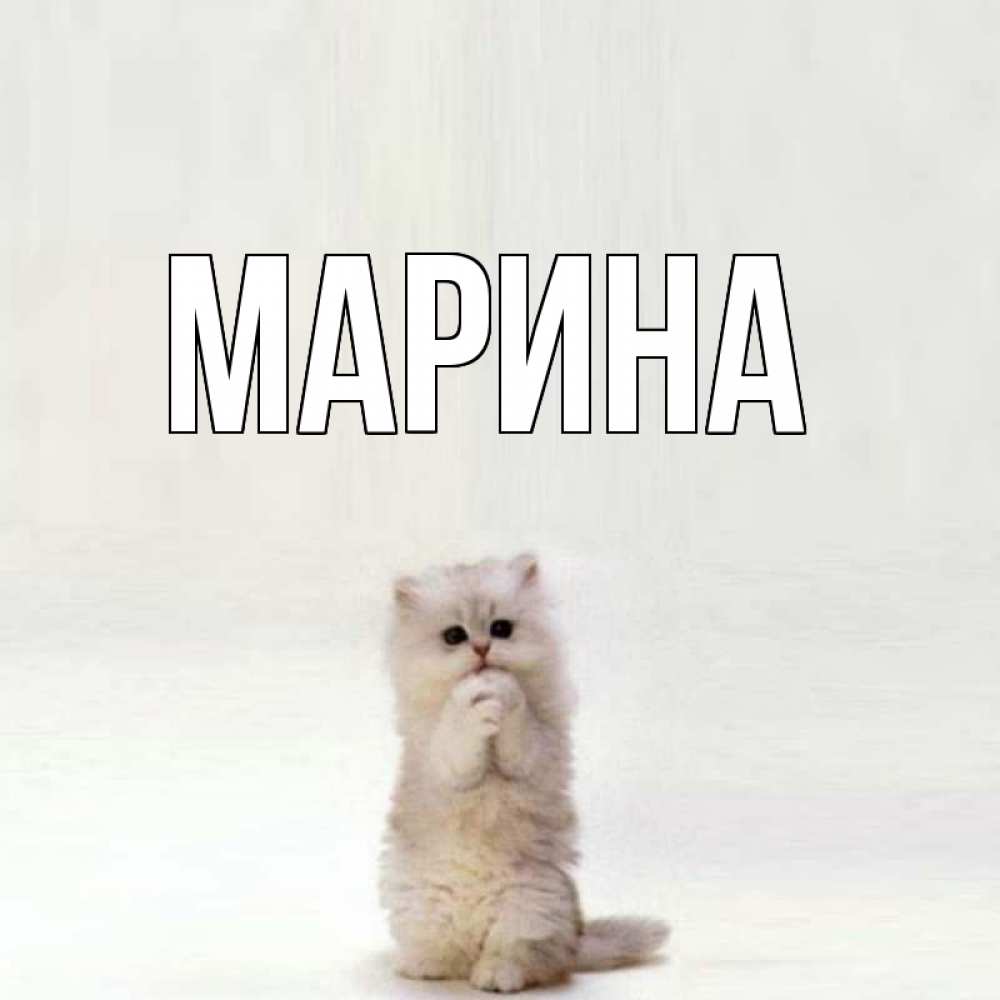Открытка на каждый день с именем, Марина Главная грустный кот Прикольная открытка с пожеланием онлайн скачать бесплатно 