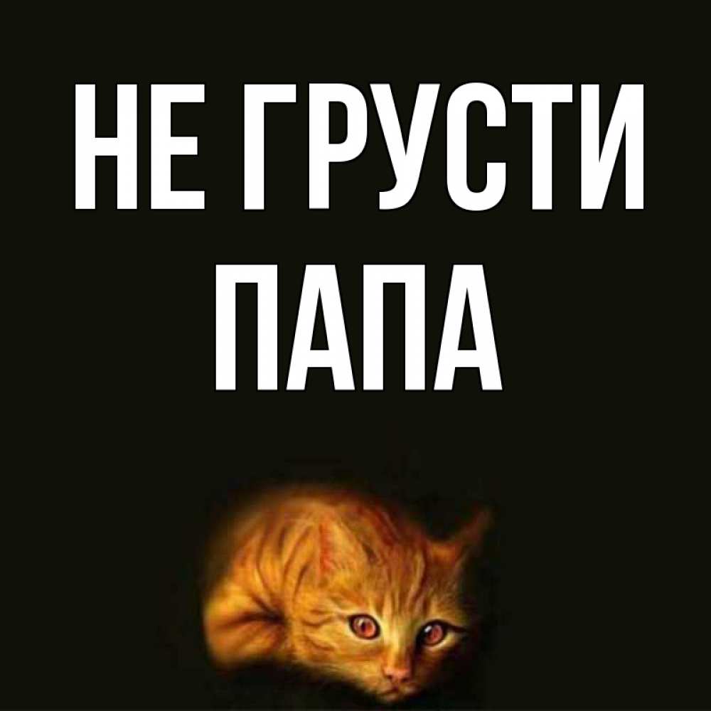 Картинки с надписью не грусти зая, днем