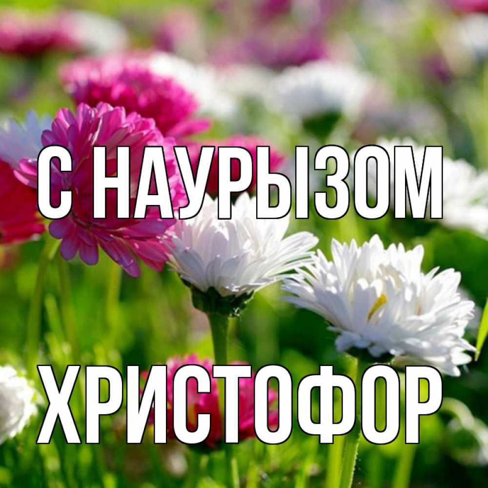 Открытка на каждый день с именем, Христофор С наурызом праздник весны наурыз красота Прикольная открытка с пожеланием онлайн скачать бесплатно 