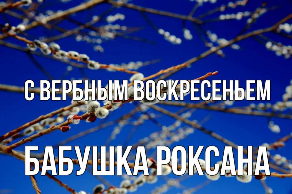Открытка на каждый день с именем, Бабушка-Роксана С вербным воскресеньем верба Прикольная открытка с пожеланием онлайн скачать бесплатно 