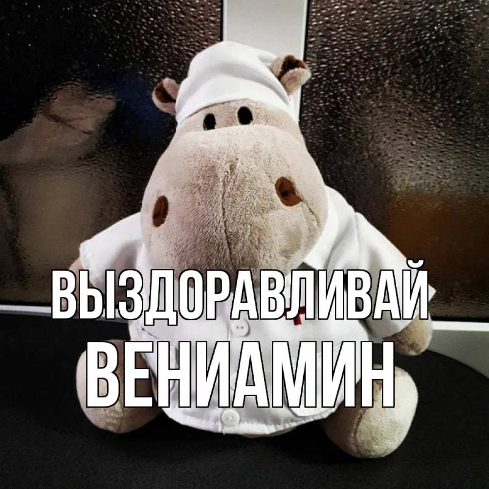 Открытка на каждый день с именем, Вениамин Выздоравливай всех излечит исцелит Прикольная открытка с пожеланием онлайн скачать бесплатно 