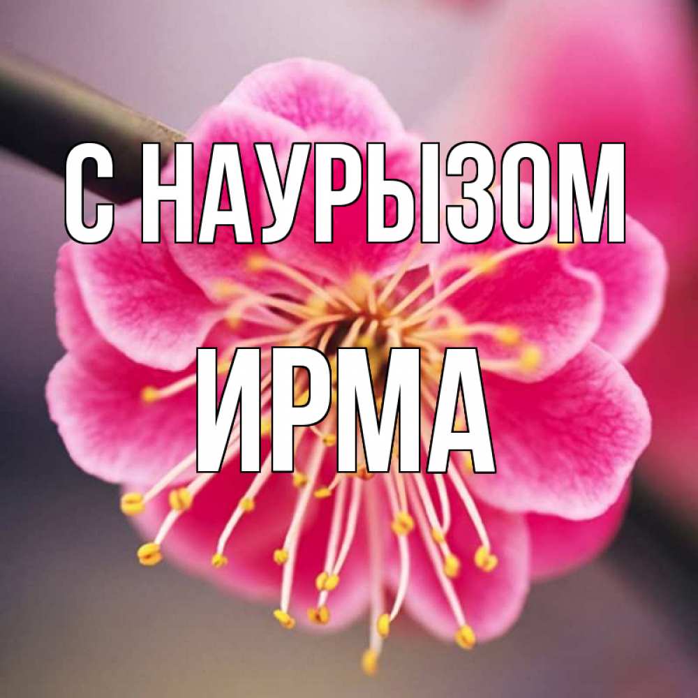 Открытка на каждый день с именем, Ирма С наурызом цветы Прикольная открытка с пожеланием онлайн скачать бесплатно 
