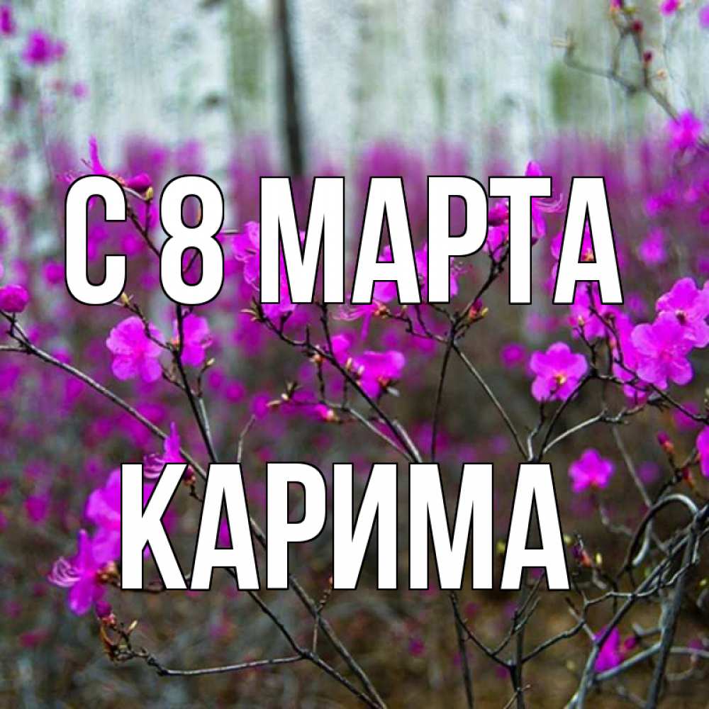 Открытка на каждый день с именем, Карима С 8 МАРТА дикие цветы Прикольная открытка с пожеланием онлайн скачать бесплатно 
