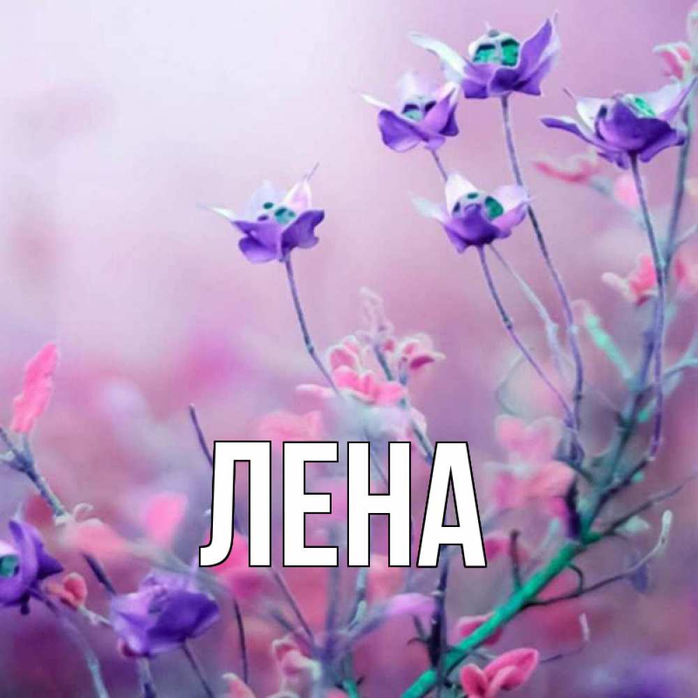 Открытка на каждый день с именем, Лена Главная международный женский день 2 Прикольная открытка с пожеланием онлайн скачать бесплатно 