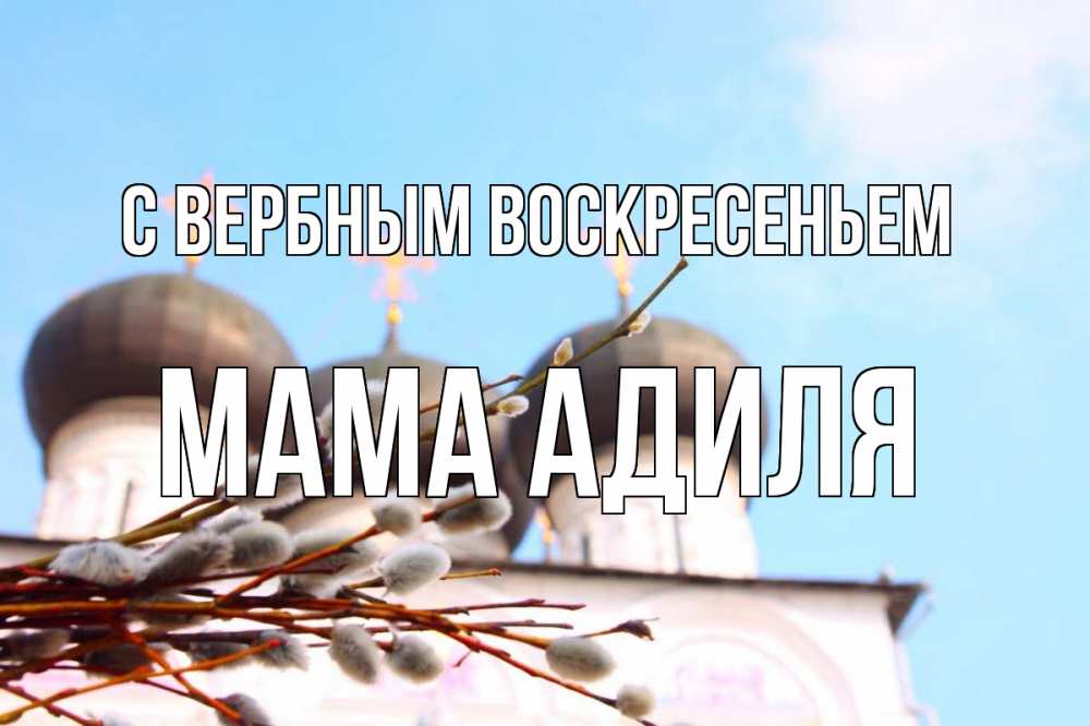 Открытка на каждый день с именем, Мама-Адиля С вербным воскресеньем верба Прикольная открытка с пожеланием онлайн скачать бесплатно 