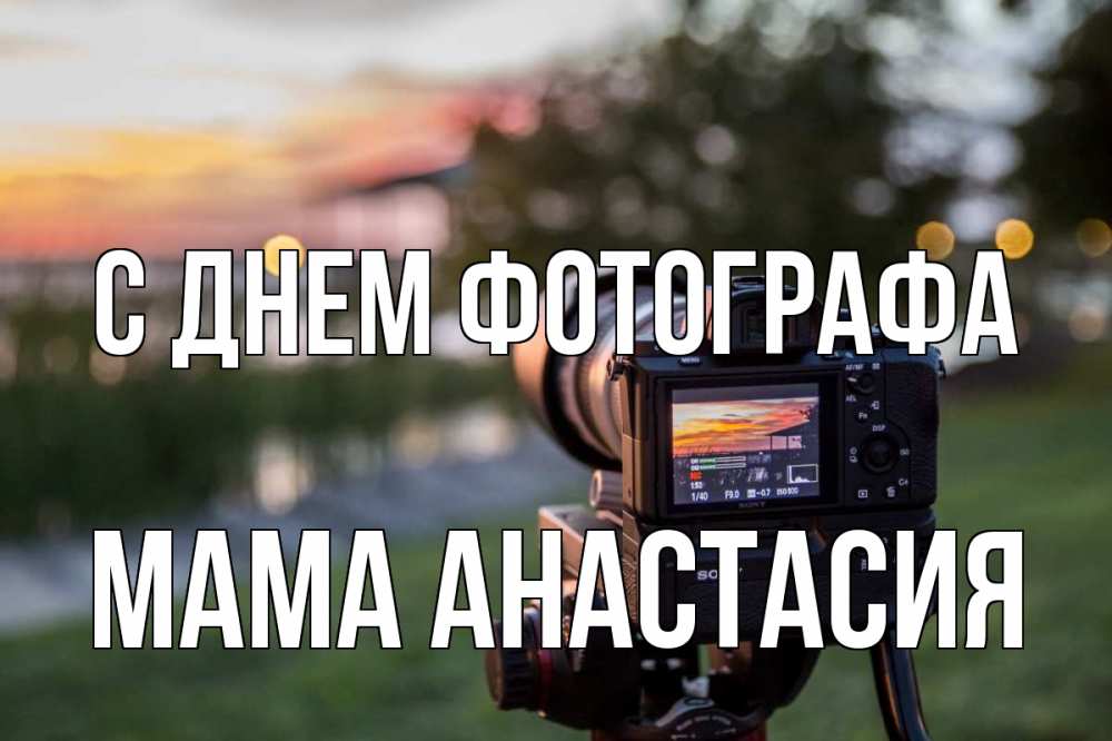 Открытка на каждый день с именем, Мама-Анастасия С днем фотографа с днем фотографа Прикольная открытка с пожеланием онлайн скачать бесплатно 