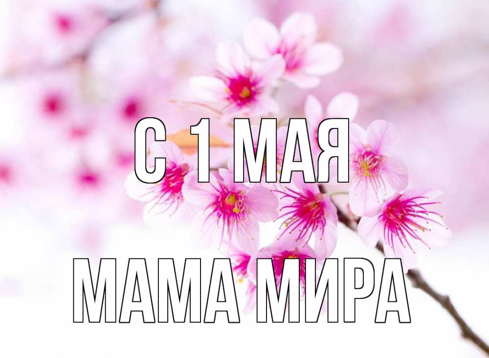 Открытка на каждый день с именем, Мама-Мира С 1 мая С 1 мая 2 Прикольная открытка с пожеланием онлайн скачать бесплатно 