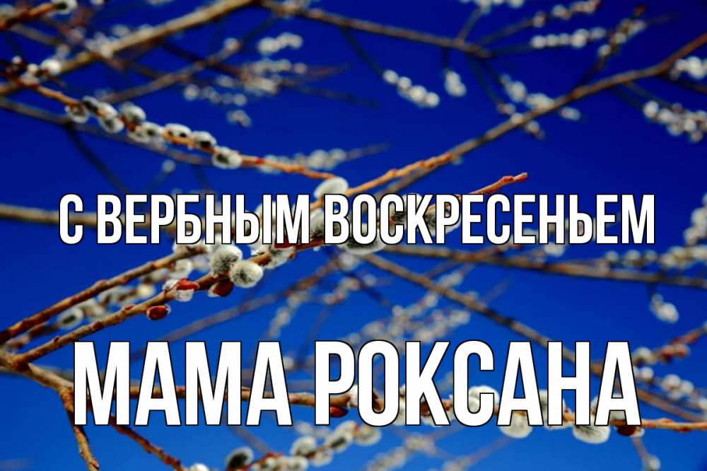 Открытка на каждый день с именем, Мама-Роксана С вербным воскресеньем верба Прикольная открытка с пожеланием онлайн скачать бесплатно 