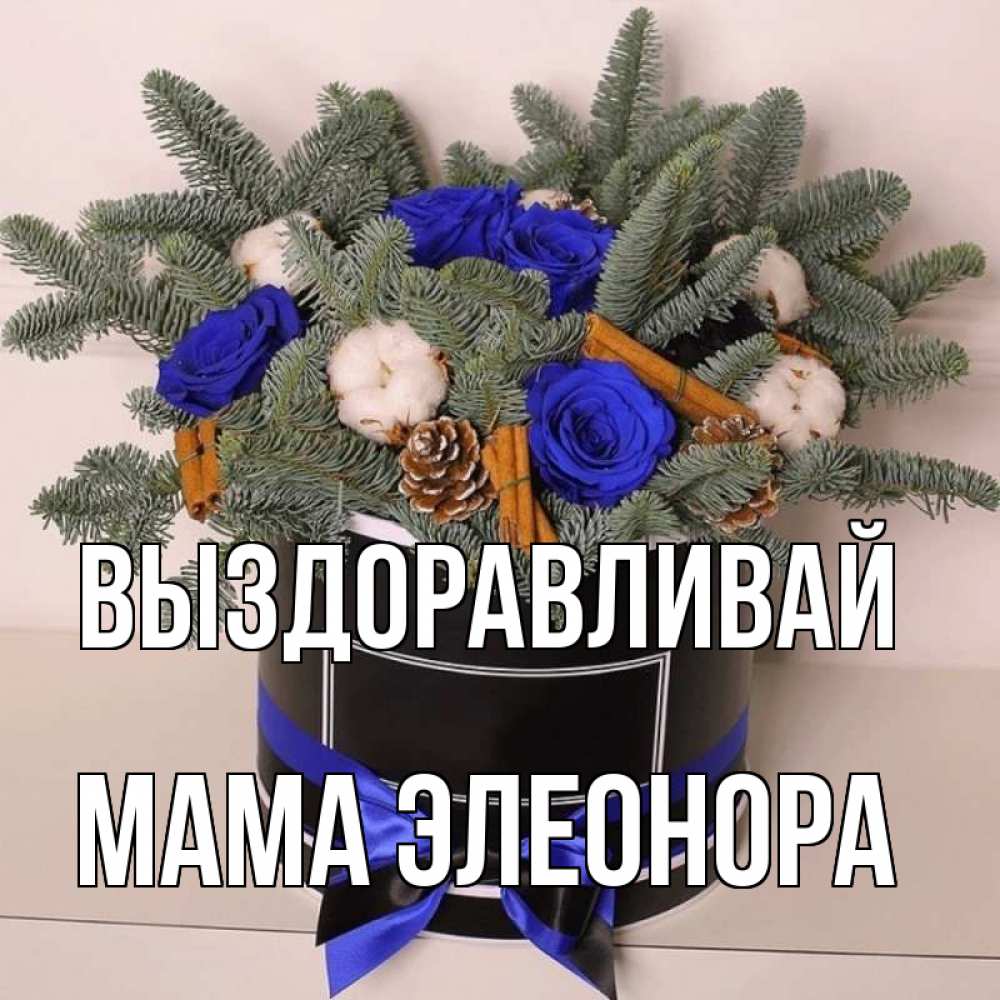 Открытка на каждый день с именем, Мама-Элеонора Выздоравливай короче кто то загрузил эти шишки Прикольная открытка с пожеланием онлайн скачать бесплатно 
