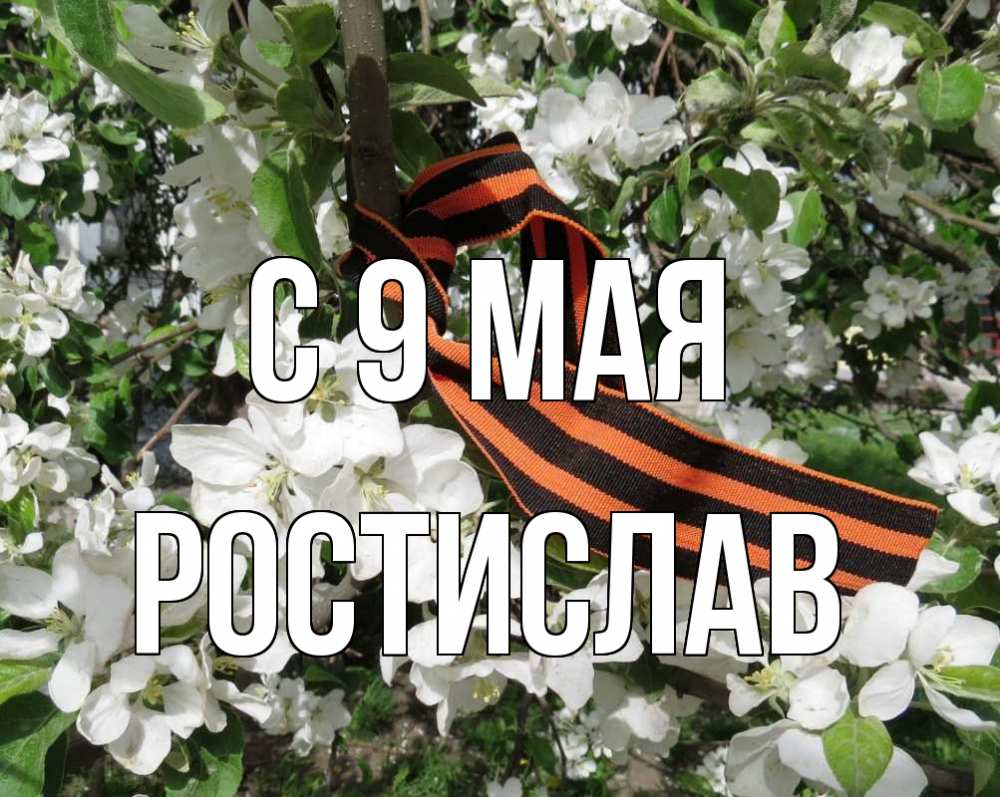 Открытка на каждый день с именем, Ростислав С 9 мая 9 мая Прикольная открытка с пожеланием онлайн скачать бесплатно 