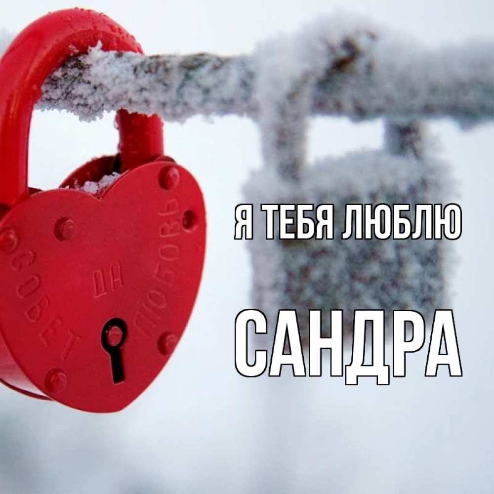 Открытка на каждый день с именем, Сандра Я тебя люблю любви Прикольная открытка с пожеланием онлайн скачать бесплатно 