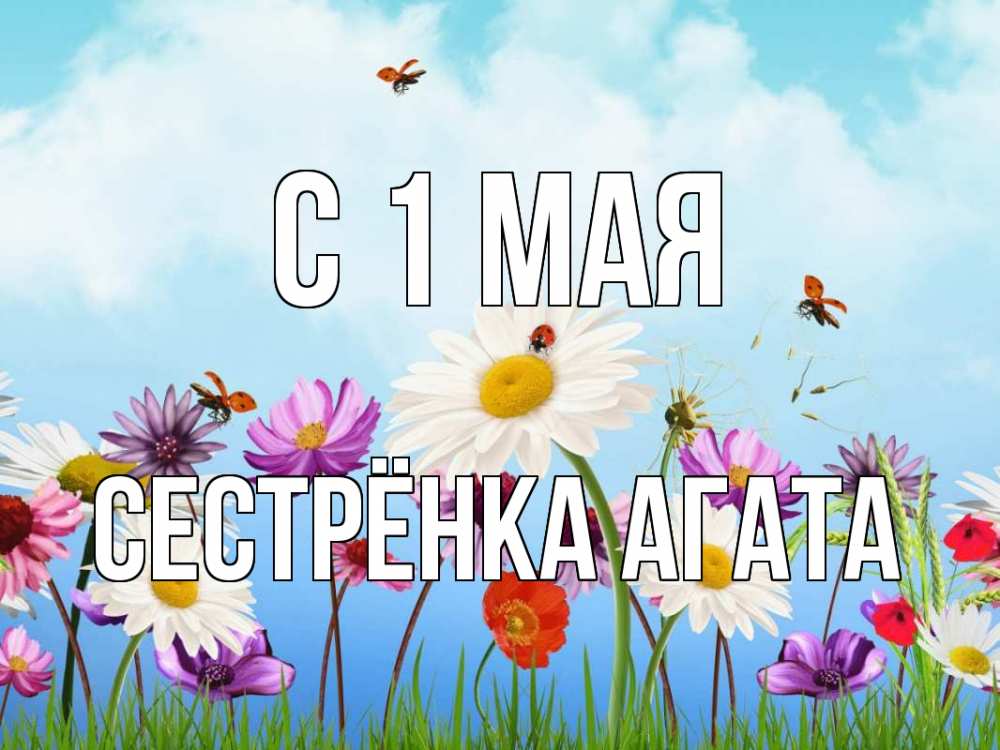 Открытка на каждый день с именем, Сестрёнка-Агата С 1 мая С 1 мая Прикольная открытка с пожеланием онлайн скачать бесплатно 