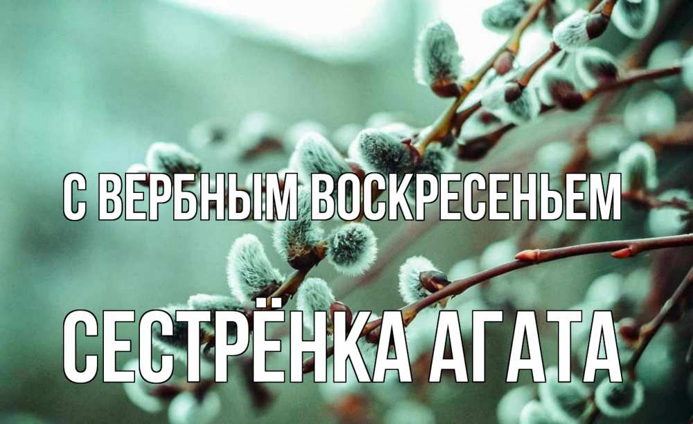 Открытка на каждый день с именем, Сестрёнка-Агата С вербным воскресеньем верба Прикольная открытка с пожеланием онлайн скачать бесплатно 