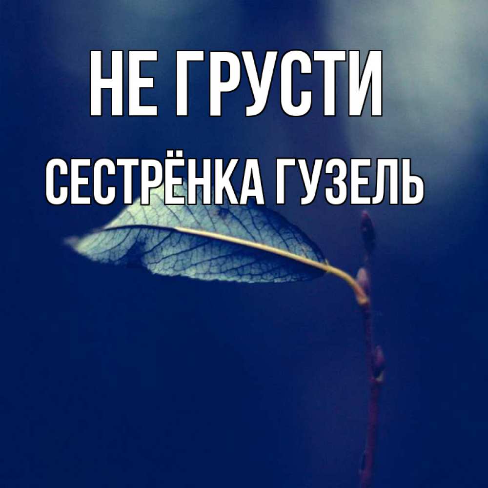 Открытка на каждый день с именем, Сестрёнка-Гузель Не грусти растение Прикольная открытка с пожеланием онлайн скачать бесплатно 