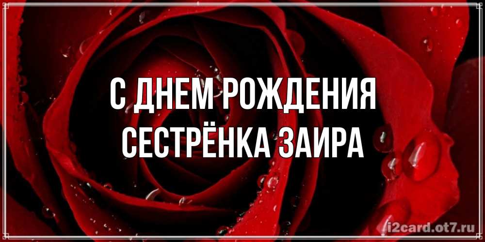 Открытка на каждый день с именем, Сестрёнка-Заира С днем рождения крупная бордовая роза Прикольная открытка с пожеланием онлайн скачать бесплатно 