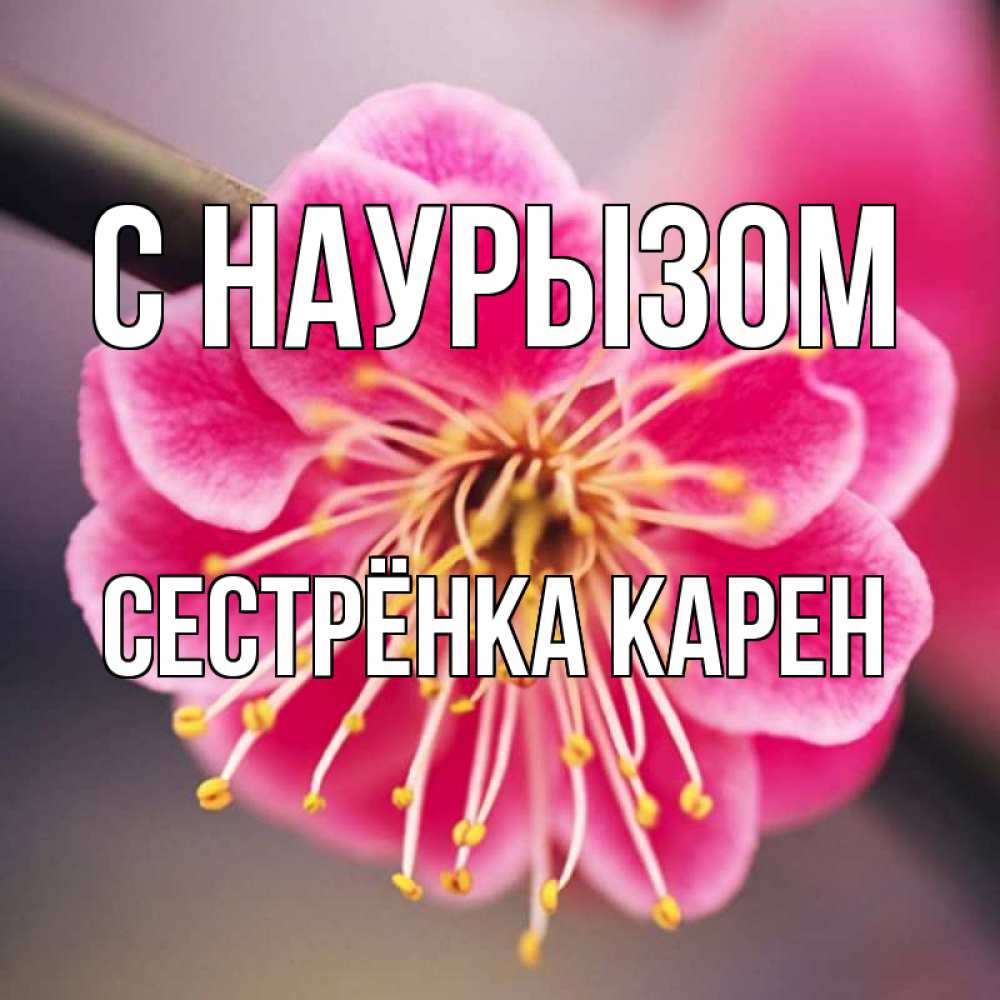 Открытка на каждый день с именем, Сестрёнка-Карен С наурызом цветы Прикольная открытка с пожеланием онлайн скачать бесплатно 