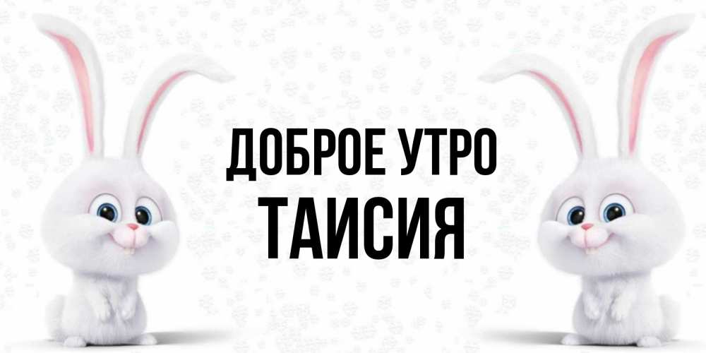 Открытка на каждый день с именем, Таисия Доброе утро кролики с длинными ушками Прикольная открытка с пожеланием онлайн скачать бесплатно 