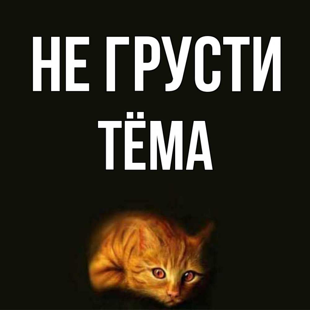 Открытка на каждый день с именем, Тёма Не грусти лежащий кот в темноте Прикольная открытка с пожеланием онлайн скачать бесплатно 