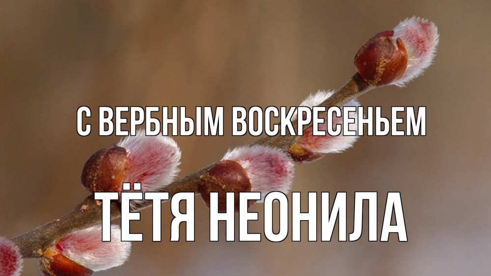 Открытка на каждый день с именем, Тётя-Неонила С вербным воскресеньем верба Прикольная открытка с пожеланием онлайн скачать бесплатно 