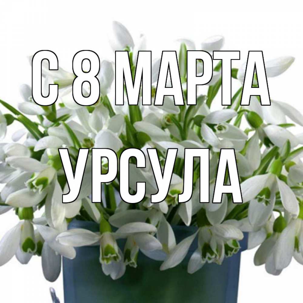 Открытка на каждый день с именем, Урсула С 8 МАРТА цветы к международному женскому дню Прикольная открытка с пожеланием онлайн скачать бесплатно 