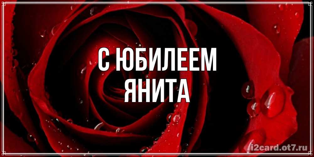 Открытка на каждый день с именем, Янита С юбилеем крупная бордовая роза Прикольная открытка с пожеланием онлайн скачать бесплатно 